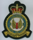 1 SQN CREST GOLD WIRE BADGE